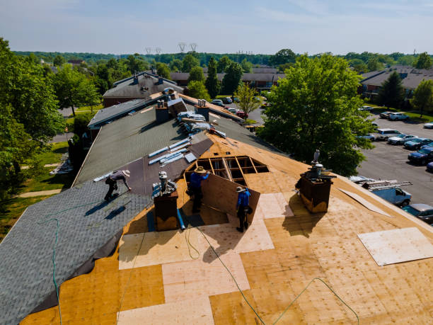 Trusted Roofing service in Eddyville, OR - Brentwood Metal Roofing